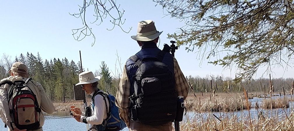 Hikers at wetlands in Copeland Forest