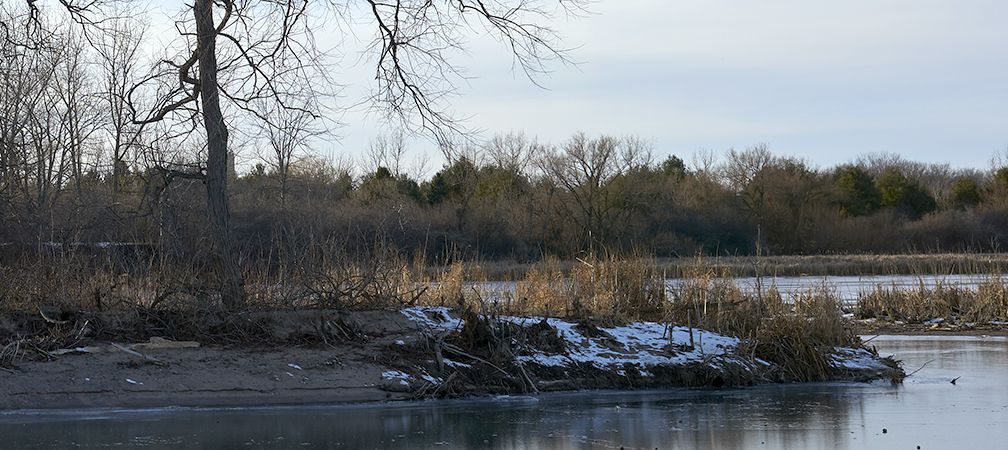 Wetlands at Duffins Creek