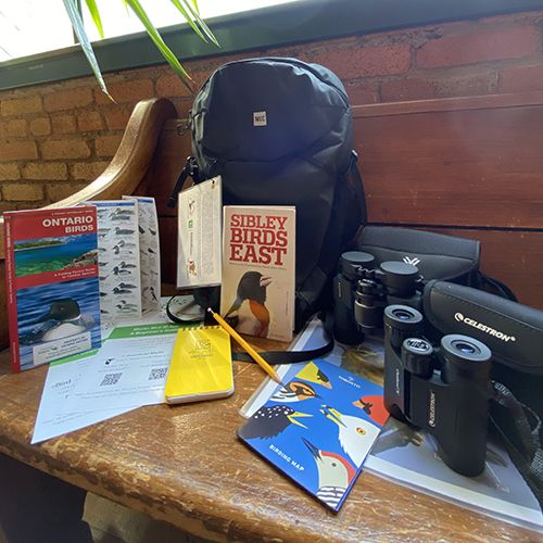 Birding Backpacks contain useful birding materials such as binoculars, weatherproof field notebook, and multiple birding guides