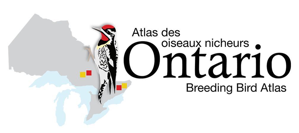 Ontario Breeding Bird Atlas-3 logo