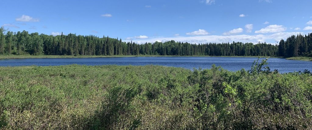 Kingfisher Lake, FSC Designated Conservation Land candidate site, forest, wetlands, lake, northern Ontario