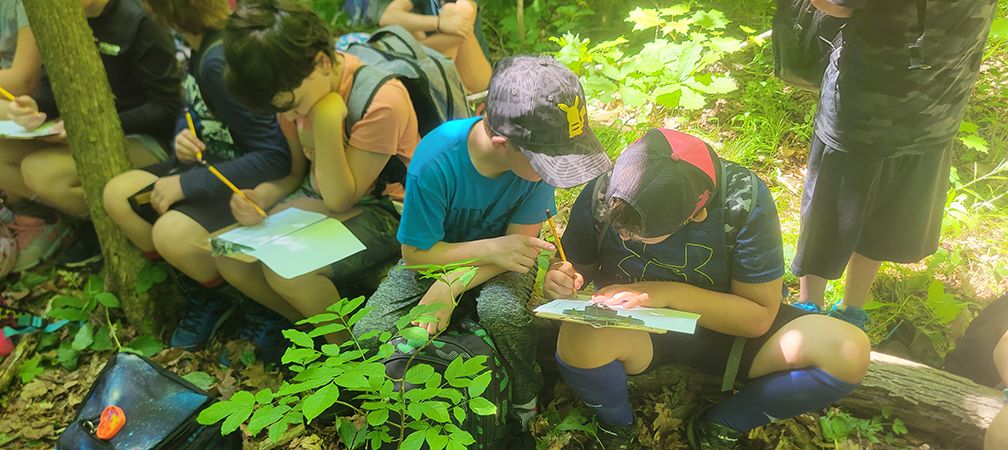 Students nature journalling together, Lost Bay Nature Reserve