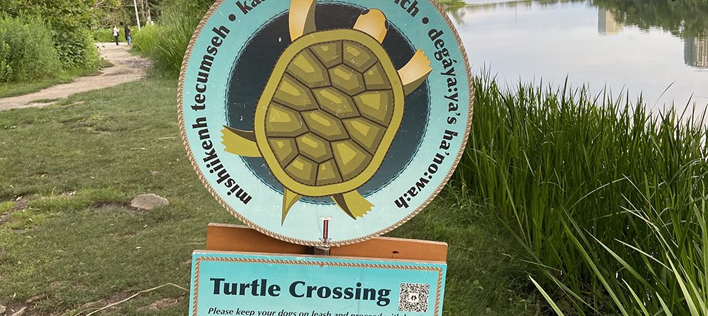 Turtle Protectors sign, High Park