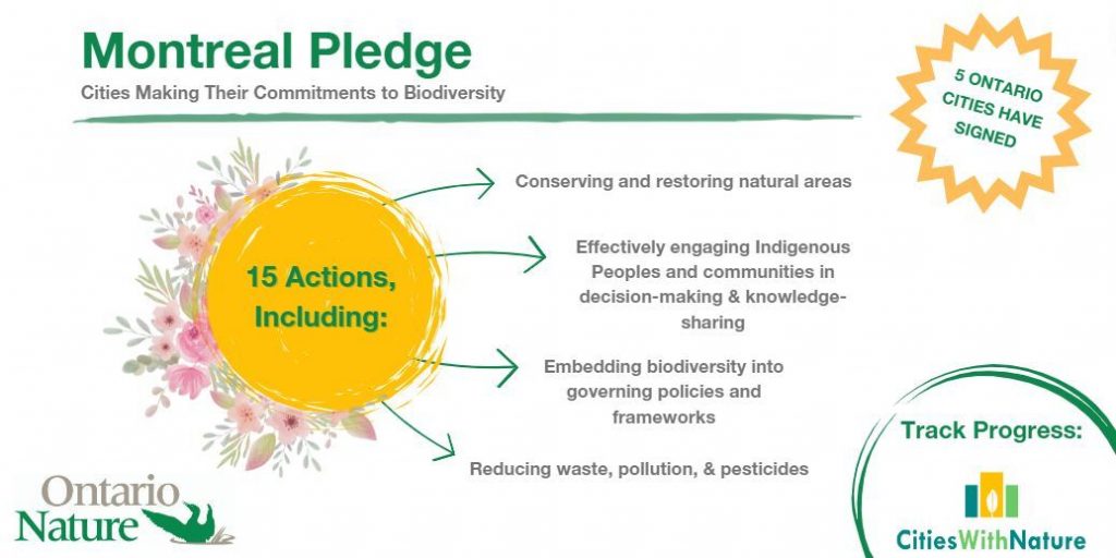 Montreal pledge blog infographic