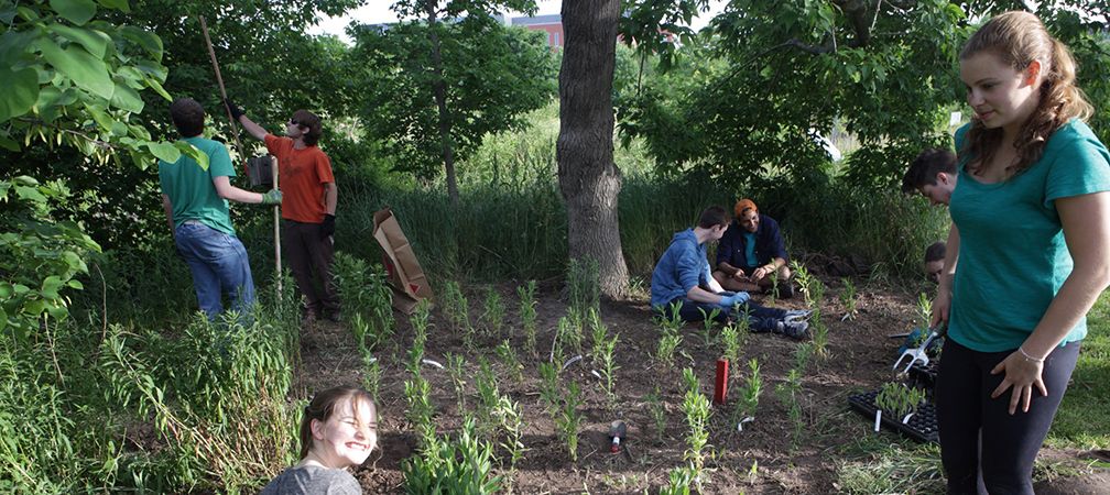 Our Species Spaces, Hamilton, Ontario Nature Youth Council event 2016, pollinator garden planting