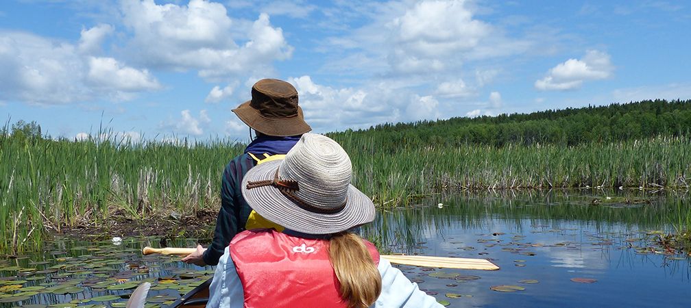 Nabish Lake, cattail marsh, canoeists, bird monitoring