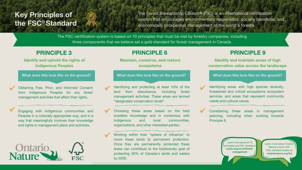 Key Principles of the FSC Standard infographic, The Forest Stewardship Council is an international certification system that encourages environmentally responsible, socially beneficial, and economically prosperous management of the world's forests.