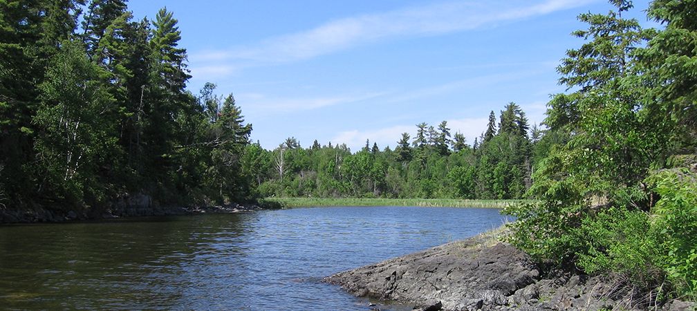 Lake of the Woods, bay and wetlands