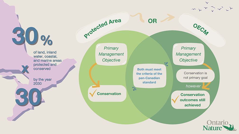 Figure 1: Protected Area and OECM distinguished by primary management objective.