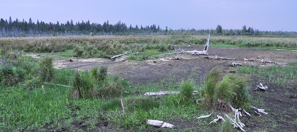 Goulbourn Wetland Complex