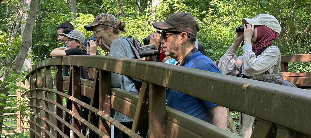 Birding hike, Paletta Park, Burlington, group, in nature, on bridge, above creek