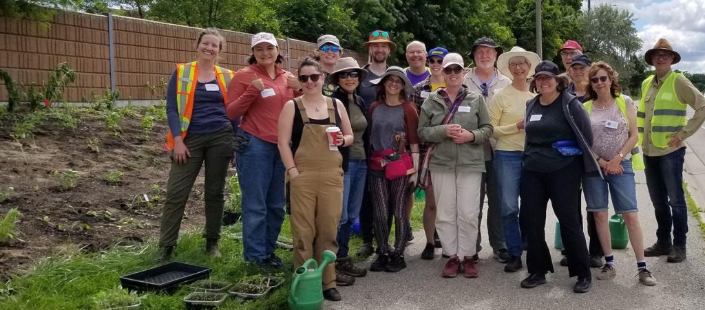 Volunteers gathered in June to plant native plants to help pollinators, urban rewilding, community action