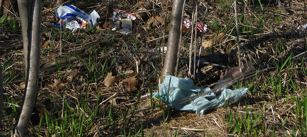 Terrestrial plastic litter in Ontario, plastic waste, consumer waste