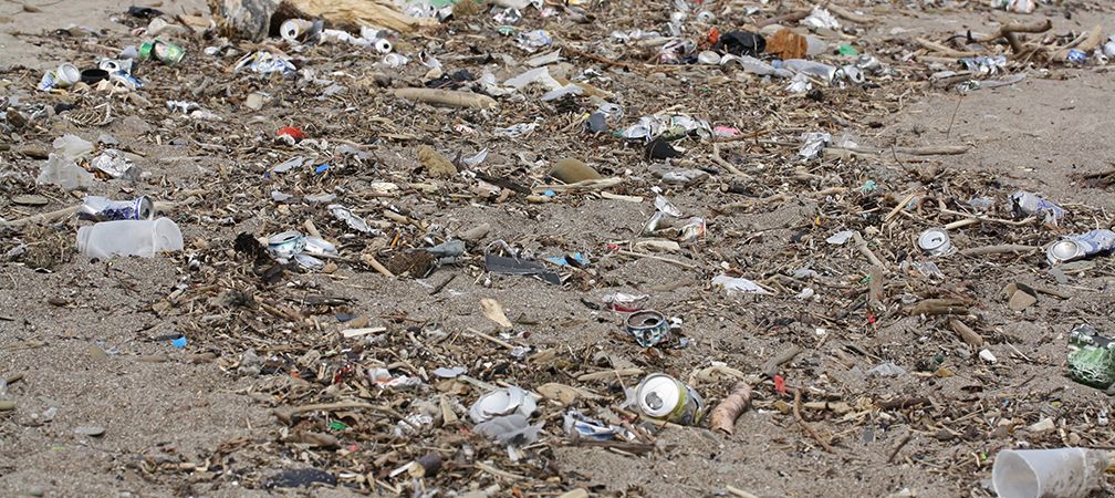 Plastic shoreline litter, Toronto Beaches, Lake Ontario litter