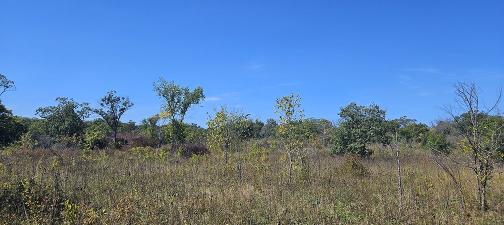A Prescribed Burn to Restore Habitat at Stone Road Alvar Nature Reserve