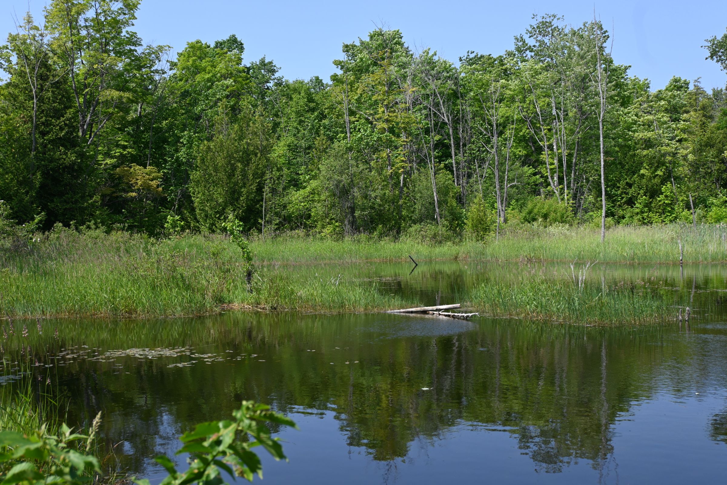 Wilfred G Crozier Nature Reserve