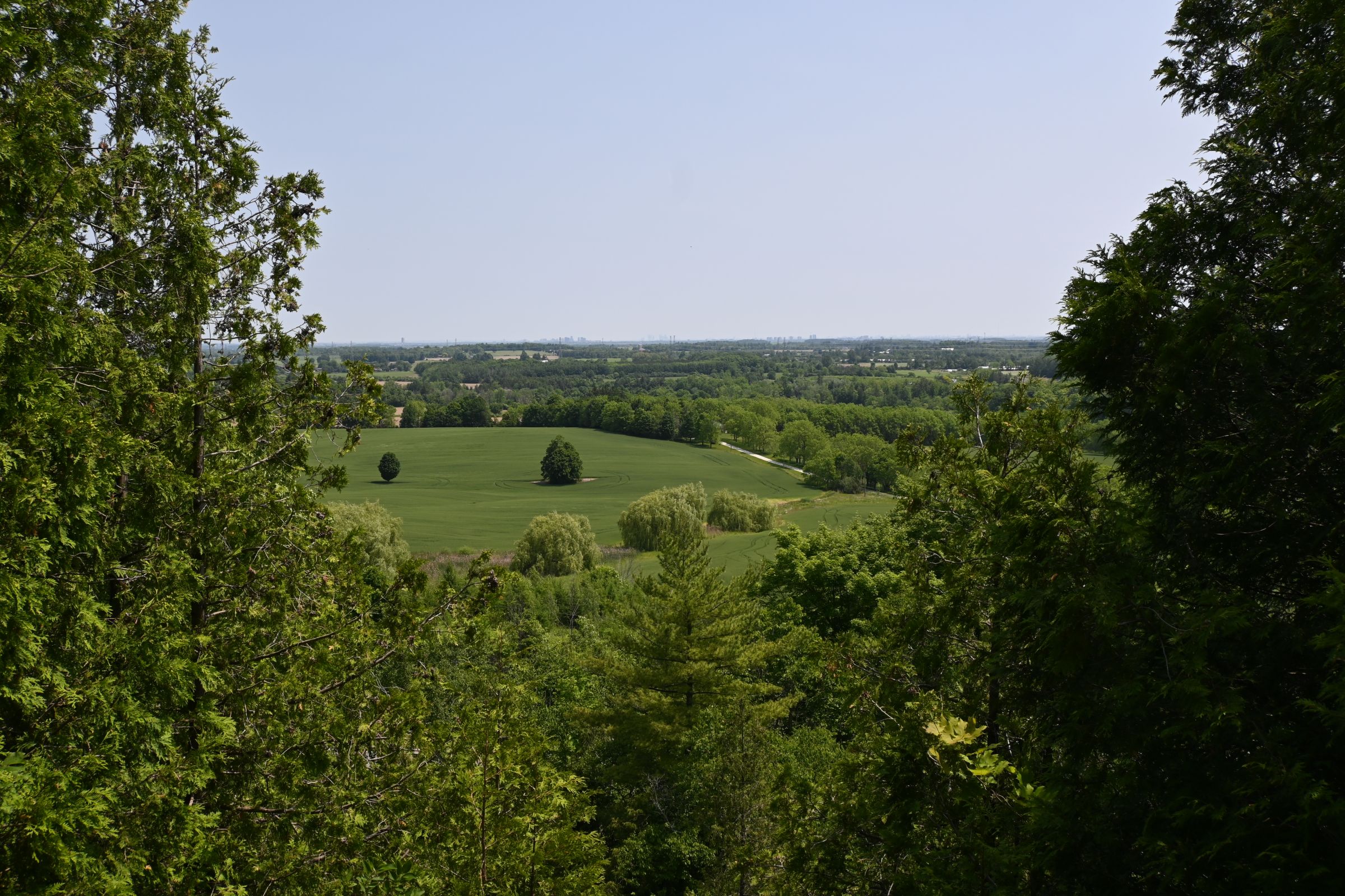 » trail at the Crozier Nature Reserve straddles the Niagara Escarpment