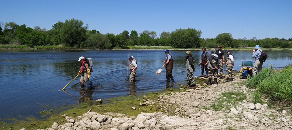 Ecologists teach Ontario Nature members the principles of benthic studies