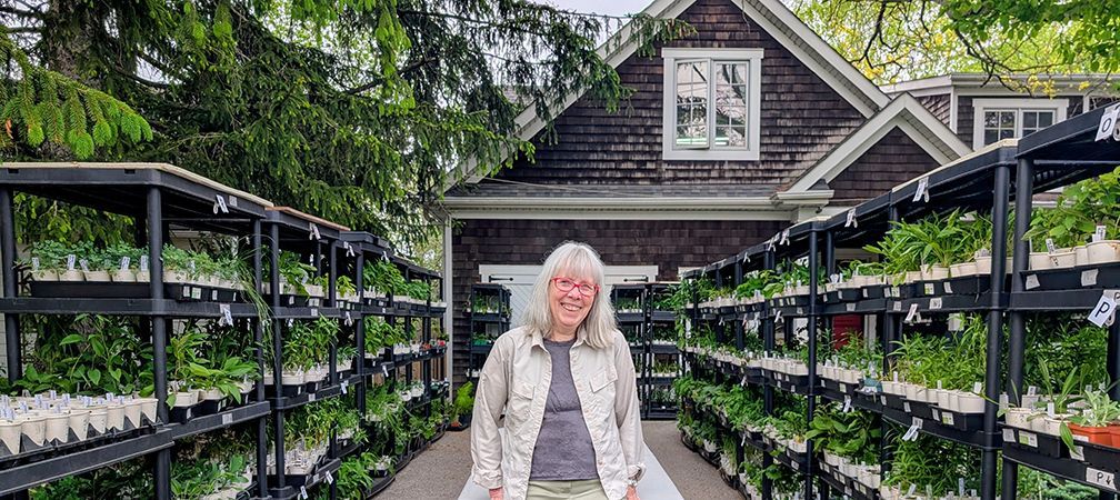Blooming Boulevard volunteers grew close to 10,000 native plants this year in their homes