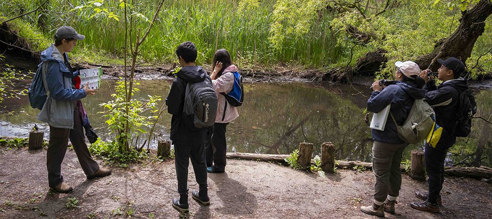 Why Snakes Matter: A Deep Dive into Ontario’s Reptilian Residents Ontario Nature Youth Council Herp Hike at Grenadier Pond, High Park