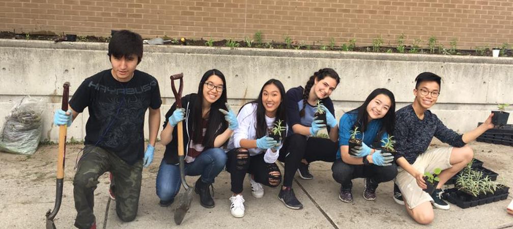 Students creating a wildflower garden, rewildling, student environmental leadership, naturalized spaces, access to nature, pollinator-friendly, wildlife-friendly, urban habitat, young leaders
