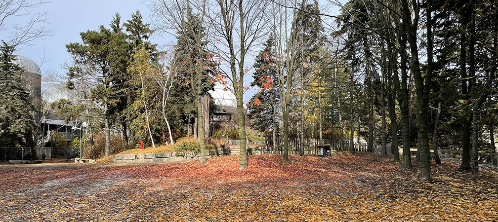 Ontario Place, 2022, foliage, habitat, mature trees, architecture, historic architecture, historic landscape, biodiversity loss, environmental degradation, Lake Ontario