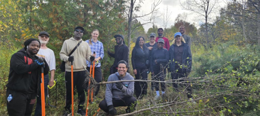 Buckthorn and Scots pine removal event with volunteers, Cawthra Mulock Nature Reserve