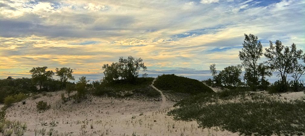 Wasaga Beach Provincial Park, natural areas, natural landscape, dunes, forfeit protected land, land given by government to developers, shoreline degradation, the Government of Ontario gave land from Wasaga Beach Provincial Park to commercial developers in 2025, species at risk habitat, piping plover habitat, endangered species habitat degradation, weak policy, historic environmental loss