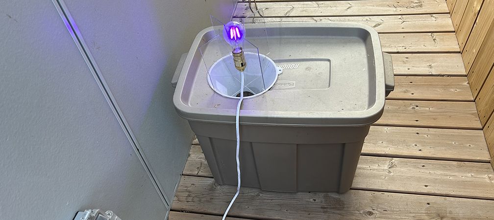 Moth light sheet, mothing, attracting moths, wildlife studies, observing wildlife, backyard wildlife, rural wildlife, nocturnal wildlife, pollinators, wildlife observation method