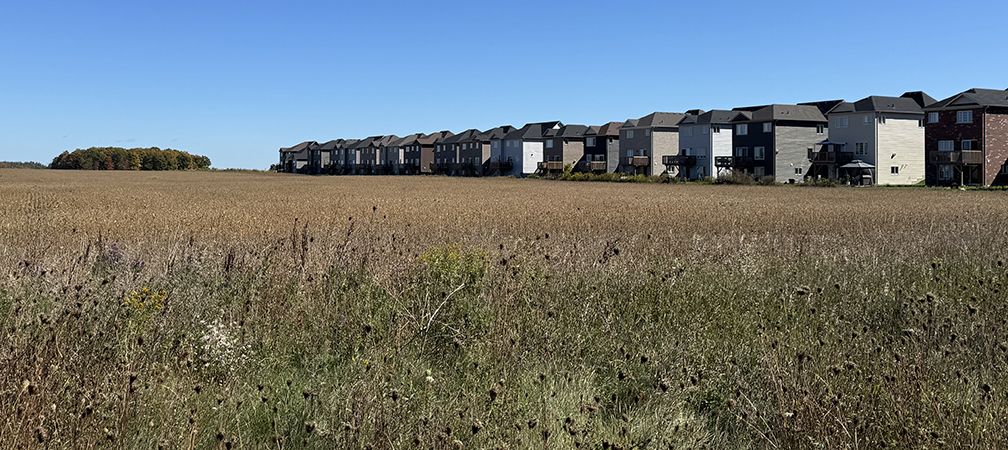 New subdivisions and retail development displaces farmland, habitat and natural systems as well as degrading the environment with visual disturbance, noise, emissions and pollution nearby a watershed, Stayner, Ontario