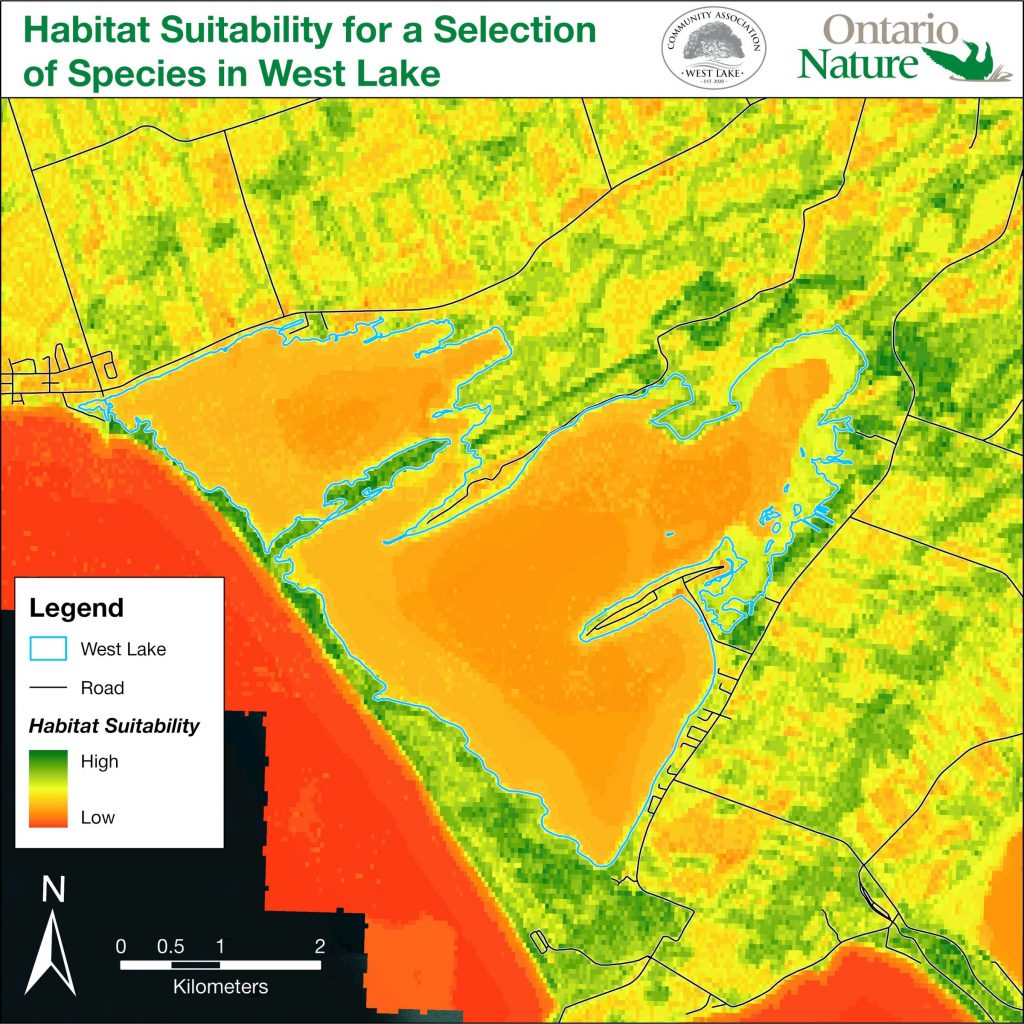 Model of suitable habitat for a variety of species in West Lake, Ontario (green indicates the most ideal habitat).