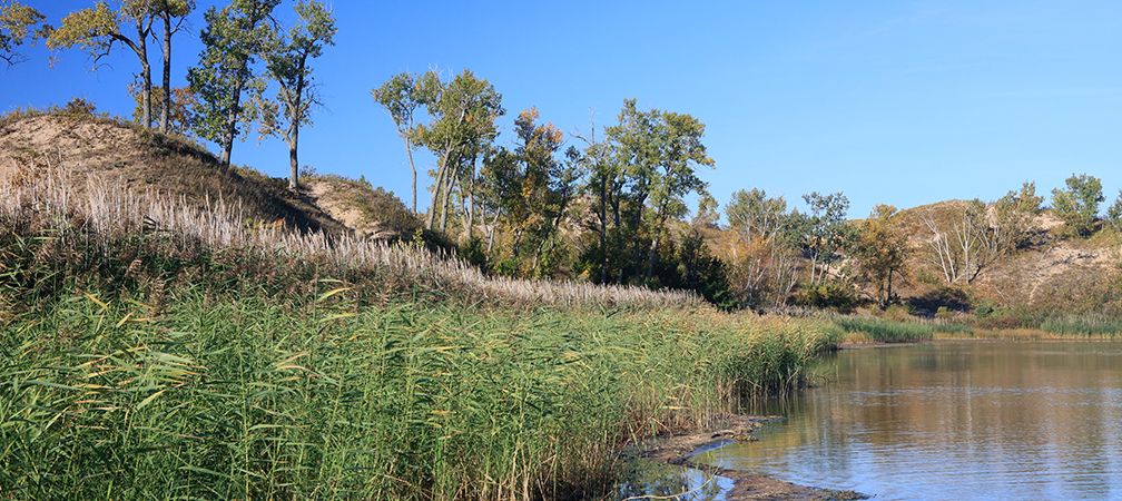 Wetlands and dunes, Sandbanks Provincial Park, West Lake, Prince Edward County