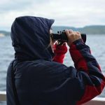 Liz Ellis, author, bio photo