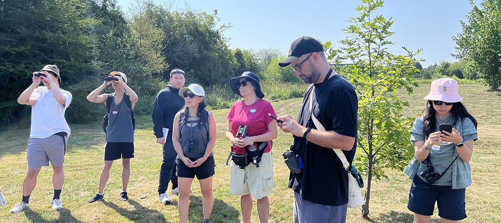 A group of people use binoculars to watch birds and use smartphone apps to identify birds from their birdsongs