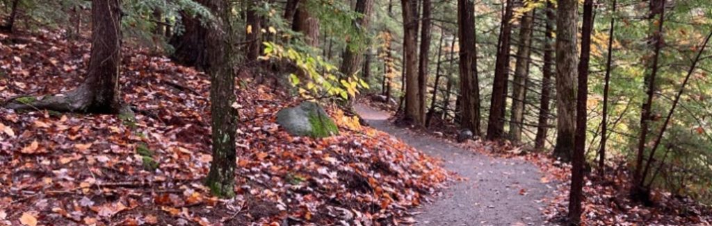 Accessible trail at H.N. Crossley Nature Reserve