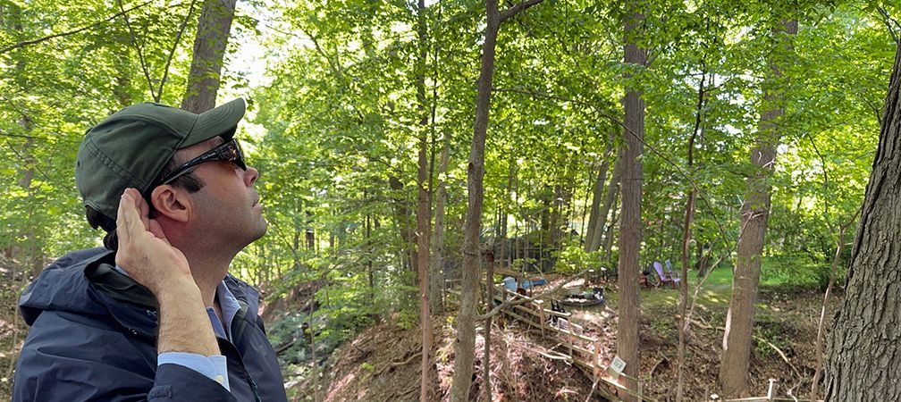 Listening to bird song in a forest, hearing bird calls, listening to songbirds, hearing robins sing vocalizations, a person cupping their hand to their ear to more easily listen to and detect bird songs