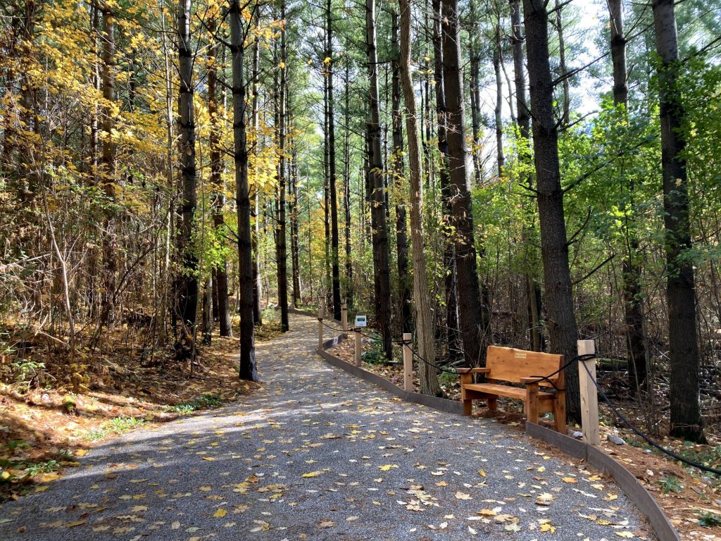 Accessible trail at Cawthra Mulock Nature Reserve